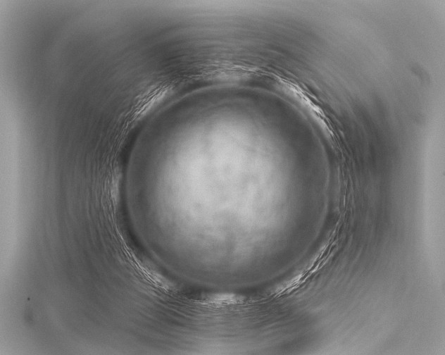 X0000116010153200911191532