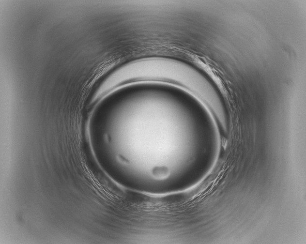 X0000116010154200911191532