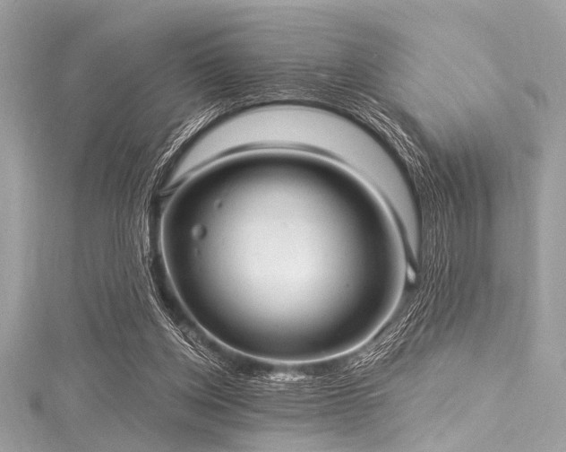 X0000116010158200911191532