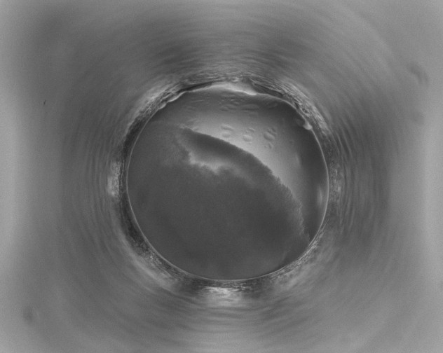 X0000116010167200911191532