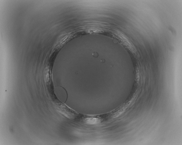 X0000116010169200911191532