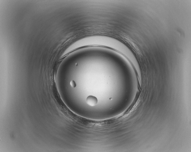 X0000116010170200911191532