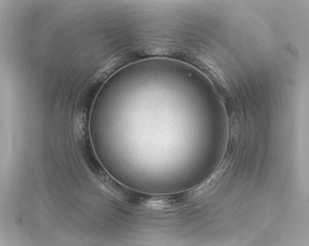 X0000116010171200911191532