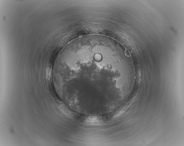 X0000116010177200911191532