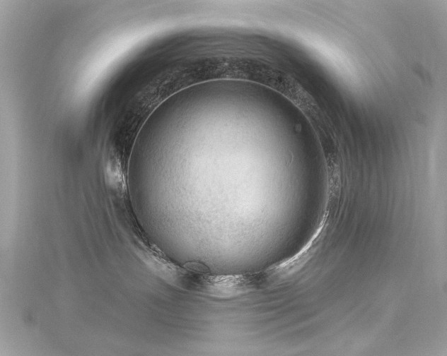 X0000116010191200911191533