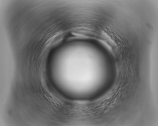 X0000116010193200911191532