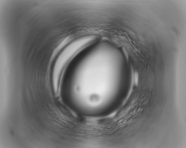 X0000116010195200911191532