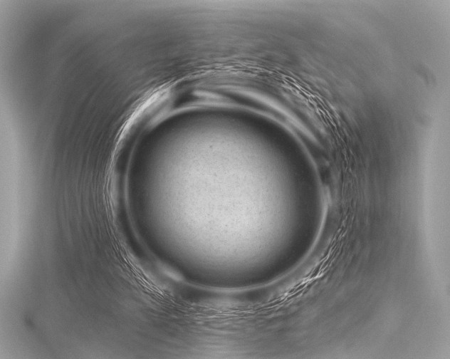 X0000116010197200911191532