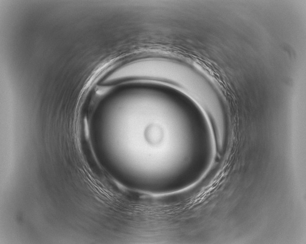 X0000116010199200911191532