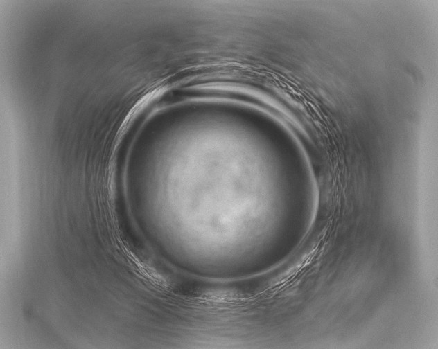 X0000116010200200911191532