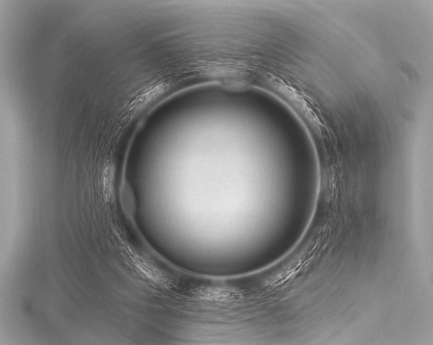 X0000116010201200911191532