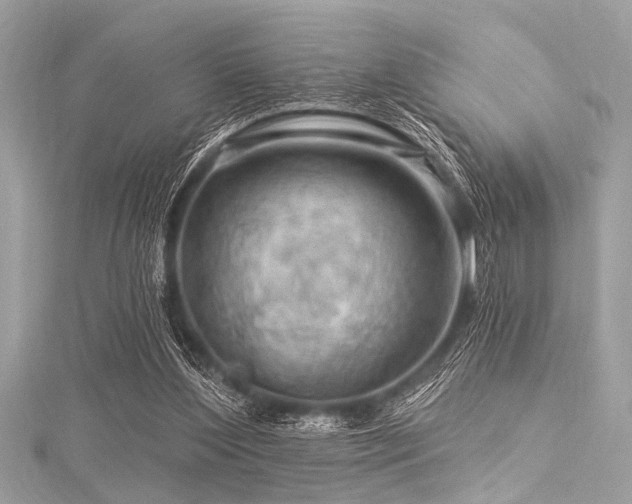 X0000116010204200911191532