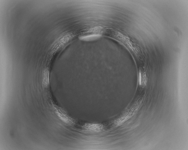 X0000116010205200911191532