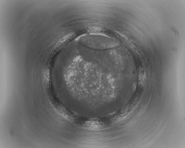 X0000116010211200911191532