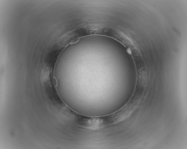 X0000116010225200911191531