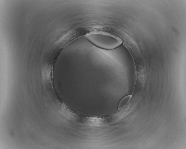 X0000116010233200911191531