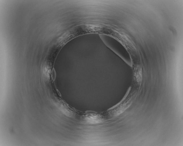 X0000116010235200911191531