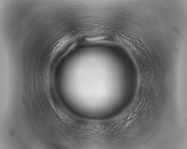 X0000116010242200911191531