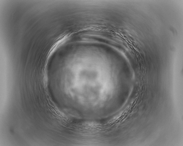 X0000116010245200911191531