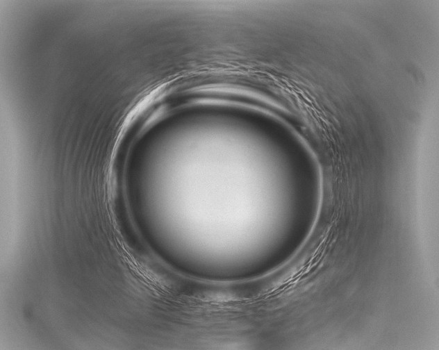 X0000116010246200911191531