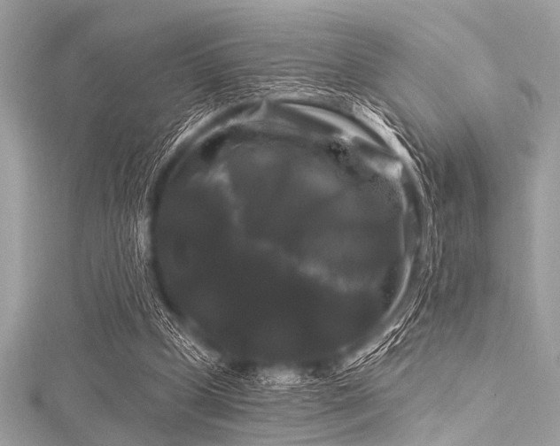 X0000116010249200911191531