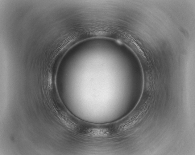 X0000116010251200911191531