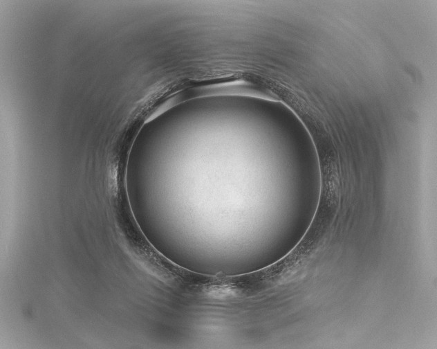 X0000116010262200911191531