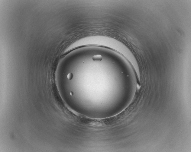 X0000116010272200911191531