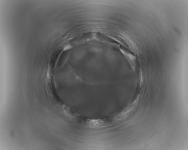 X0000116010277200911191531