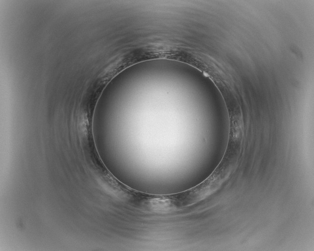 X0000116010279200911191531