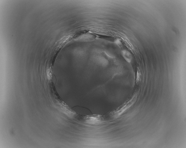 X0000116010285200911191531