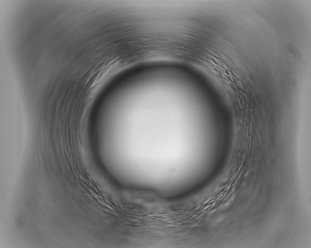X0000116010289200911191531