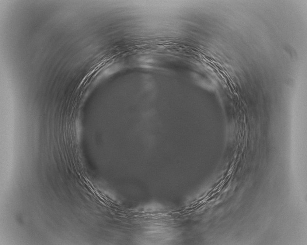 X0000116010290200911191531