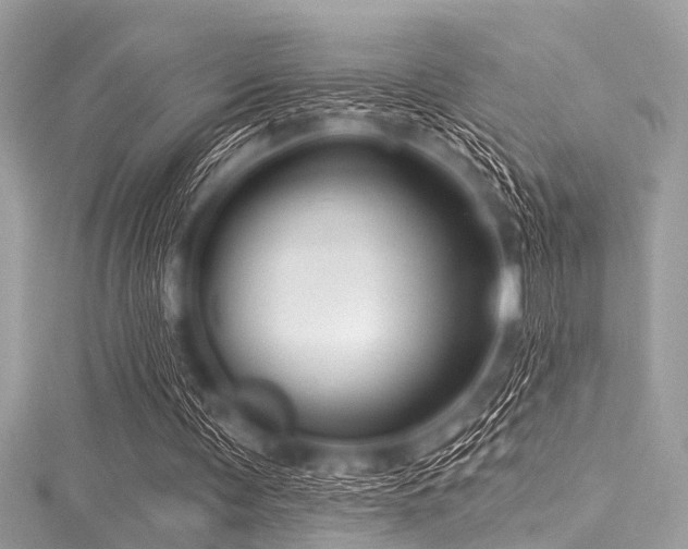 X0000116010291200911191531