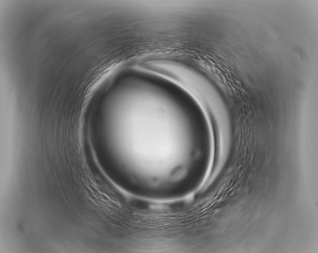 X0000116010292200911191531