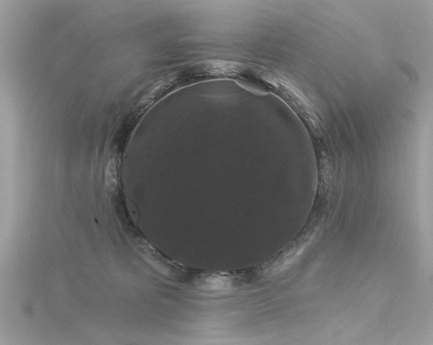 X0000116010325200911191530
