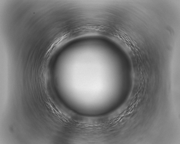 X0000116010338200911191529