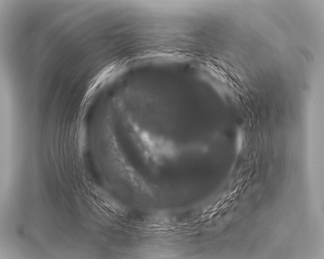 X0000116010339200911191529