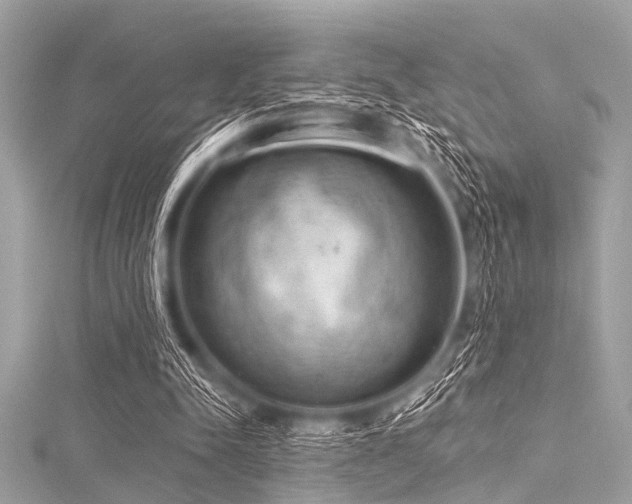 X0000116010342200911191529
