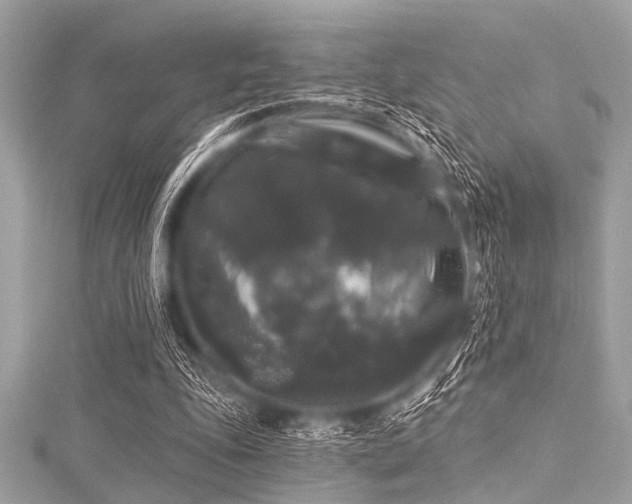 X0000116010343200911191529