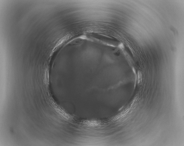 X0000116010349200911191530