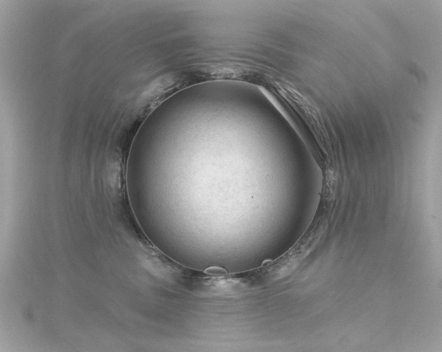 X0000116010379200911191530