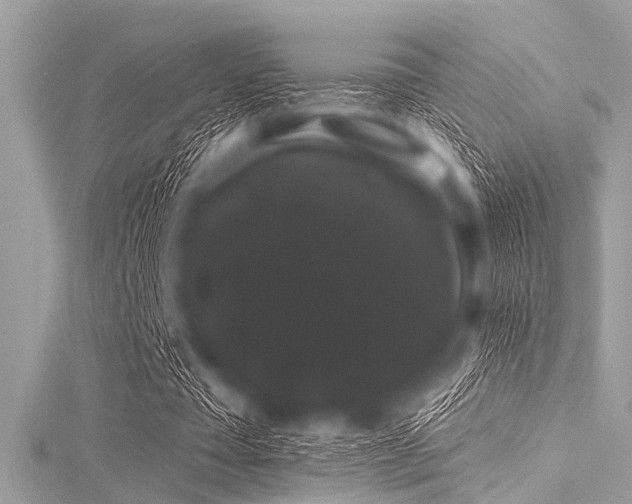 X0000116010385200911191529