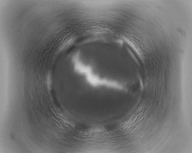 X0000116010386200911191529