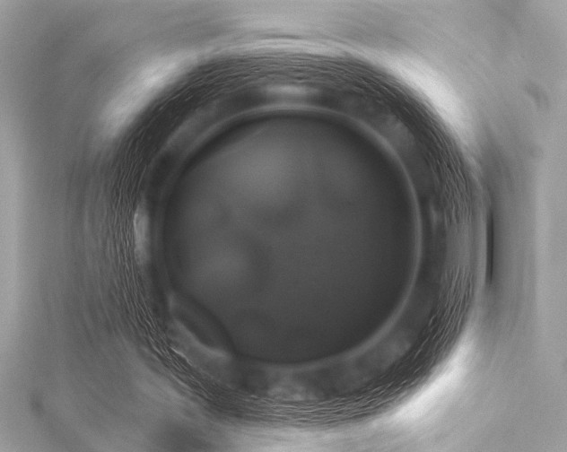 X0000116010387200911191529
