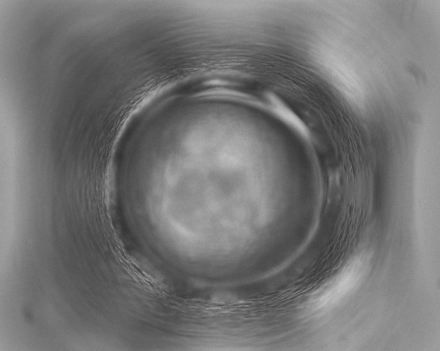 X0000116010388200911191529