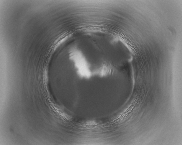 X0000116010390200911191529