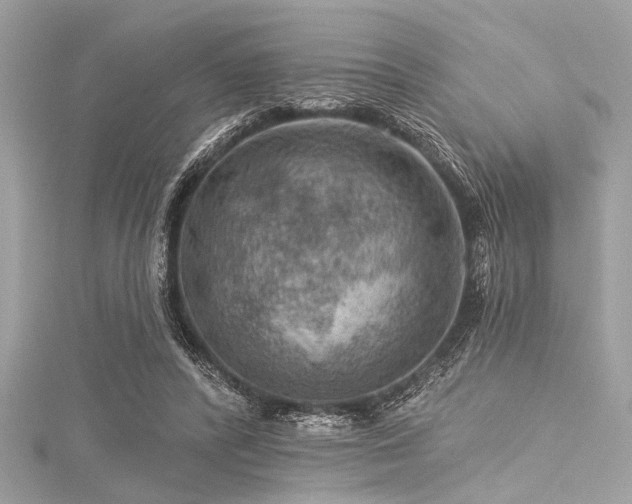 X0000116010400200911191529