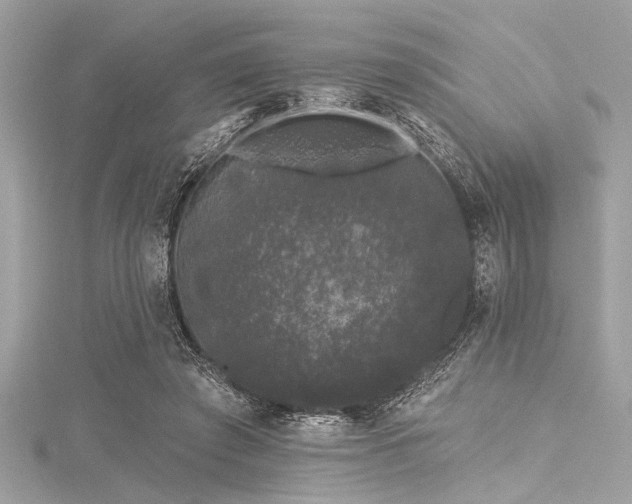 X0000116010401200911191529