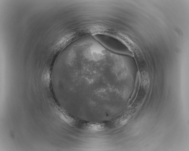 X0000116010405200911191529